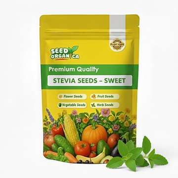 Stevia Seeds – Sweet