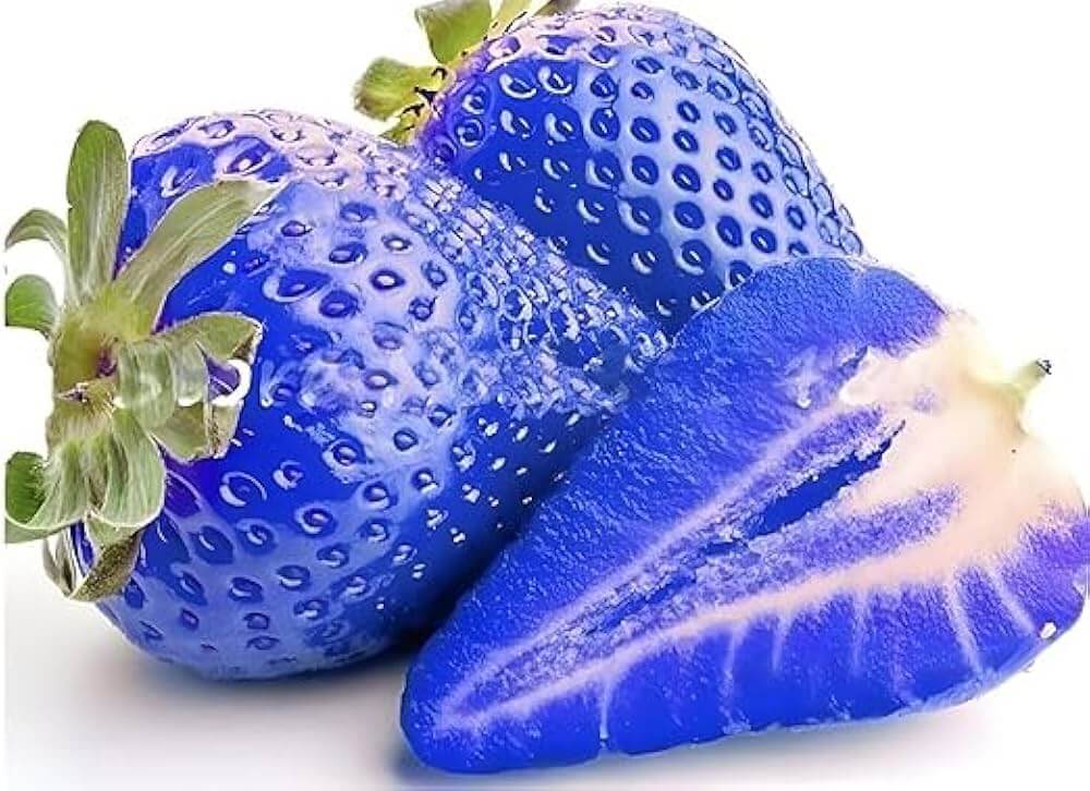 Strawberry Seeds – Blue