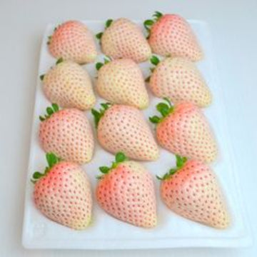 Strawberry Seeds – Bright Orange