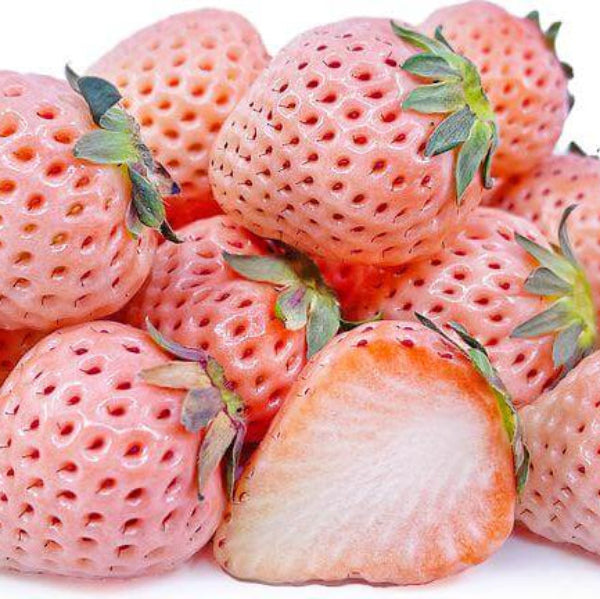 Strawberry Seeds – Bright Orange