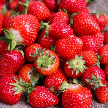 Strawberry Seeds – Red