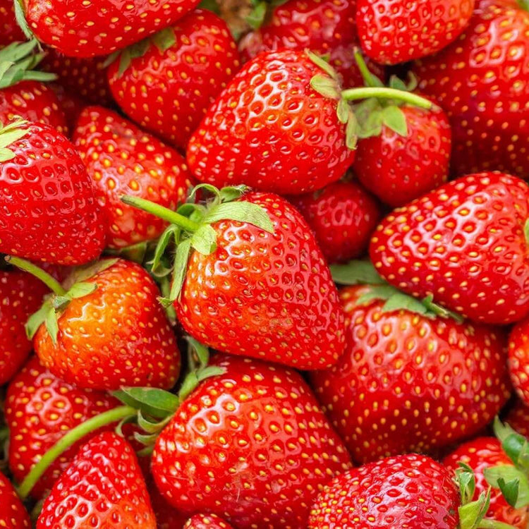 Strawberry Seeds – Red