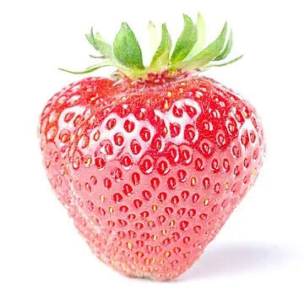 Strawberry Seeds – Rosy Pink
