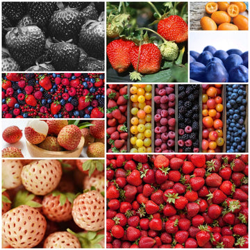 Strawberry Seeds - All In One For Home Gardens
