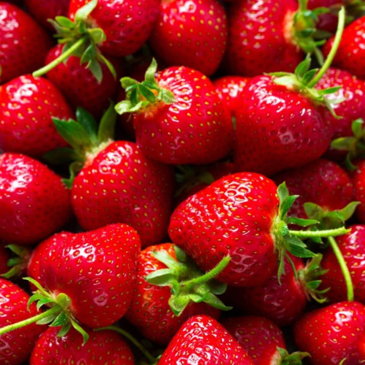 Strawberry Seeds - All In One For Home Gardens
