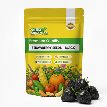 Strawberry Seeds – Black