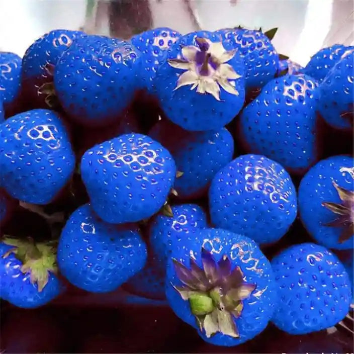 Strawberry Seeds – Blue