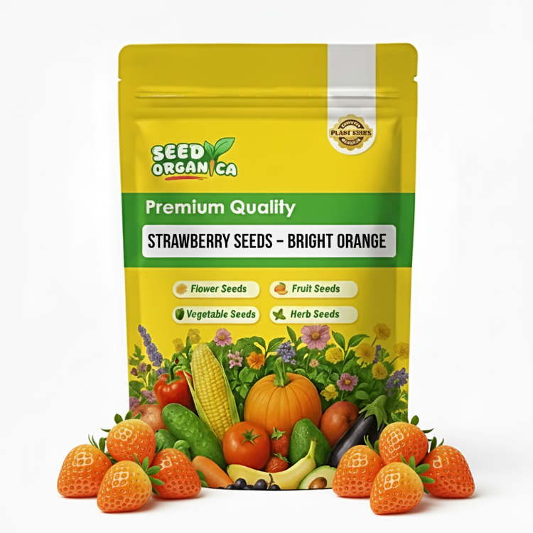 Strawberry Seeds – Bright Orange