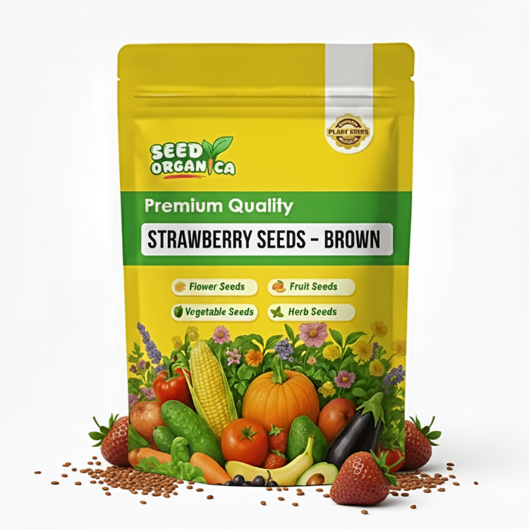 Strawberry Seeds – Brown