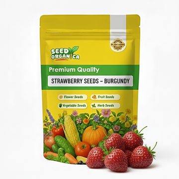 Strawberry Seeds – Burgundy