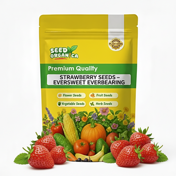 Strawberry Seeds – Eversweet Everbearing