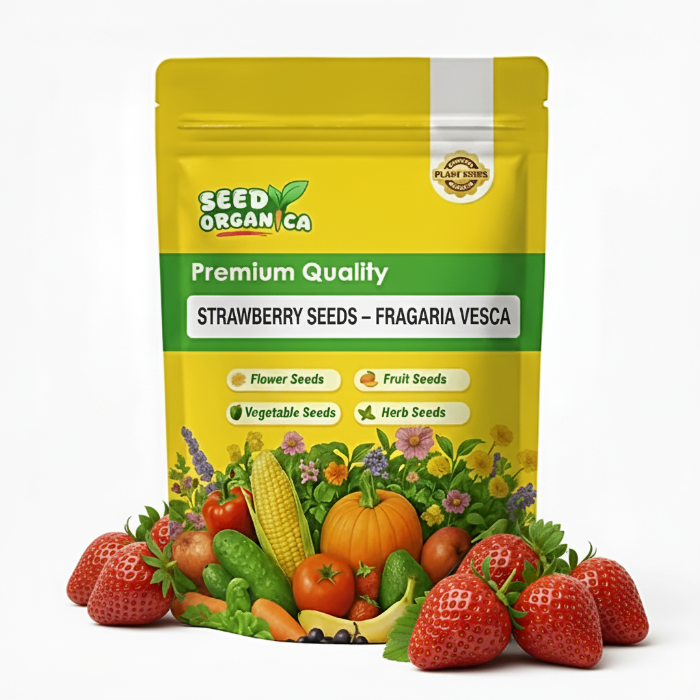 Strawberry Seeds – Fragaria vesca