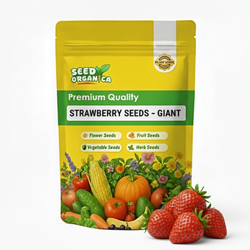 Strawberry Seeds – Giant