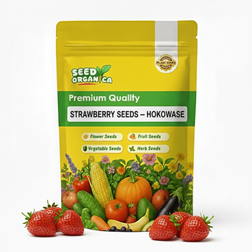 Strawberry Seeds – Hokowase
