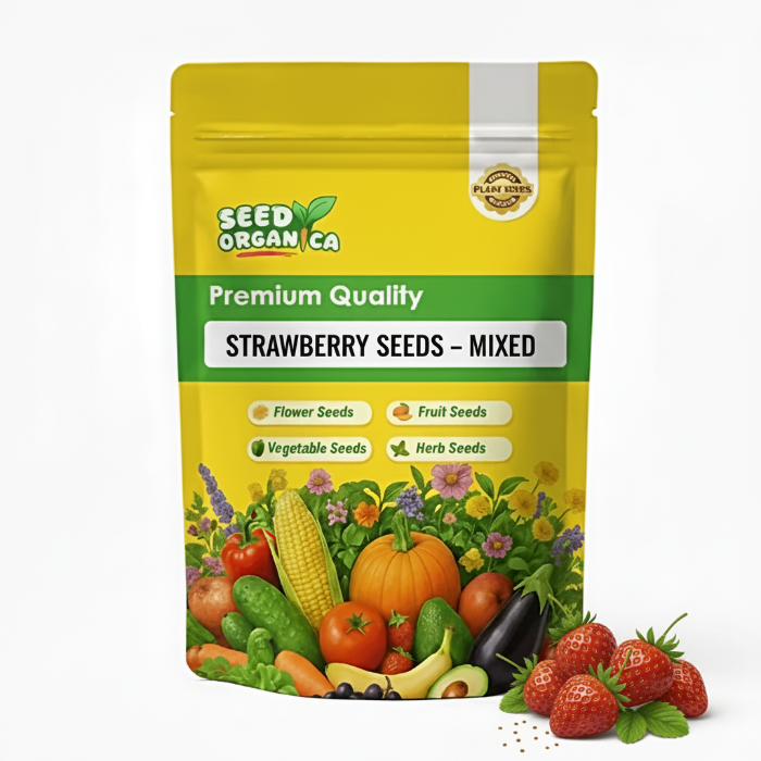 Strawberry Seeds – Mixed