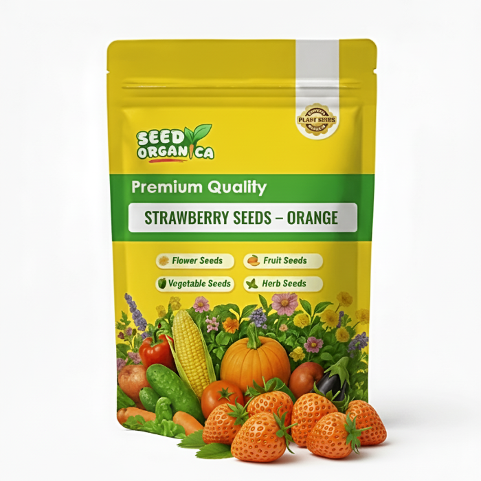 Strawberry Seeds – Orange