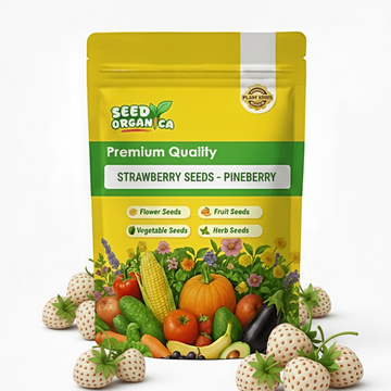 Strawberry Seeds – Pineberry