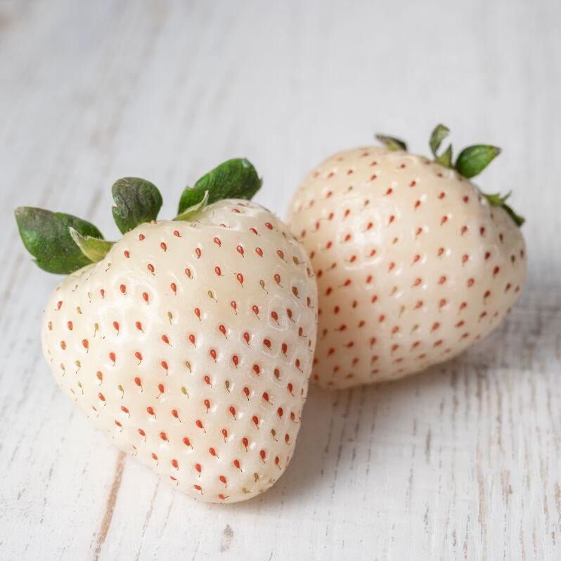 Strawberry Seeds – Pineberry White