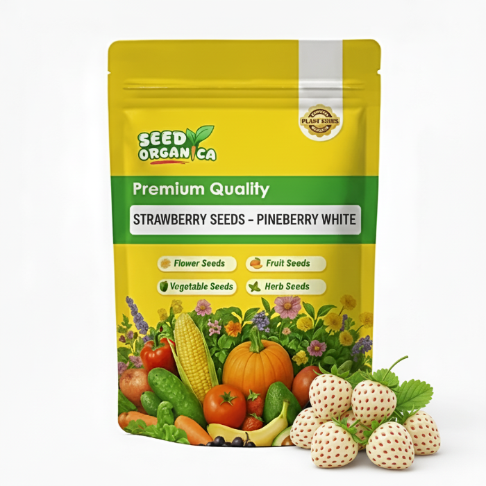 Strawberry Seeds – Pineberry White