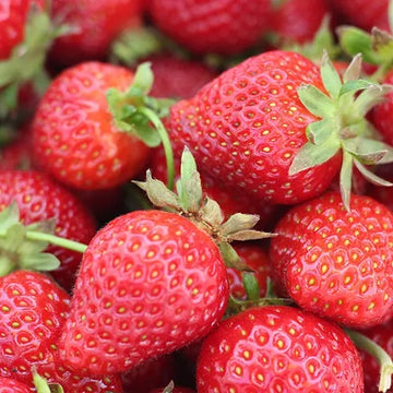 Strawberry Seeds – Pink