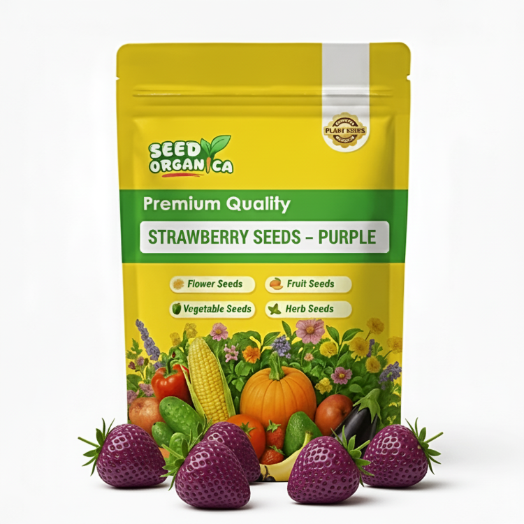 Strawberry Seeds – Purple