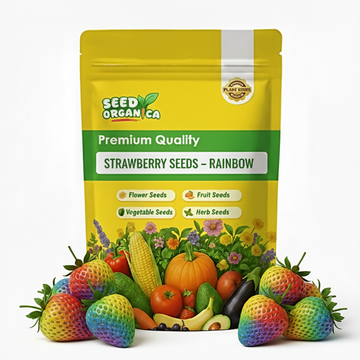 Strawberry Seeds – Rainbow