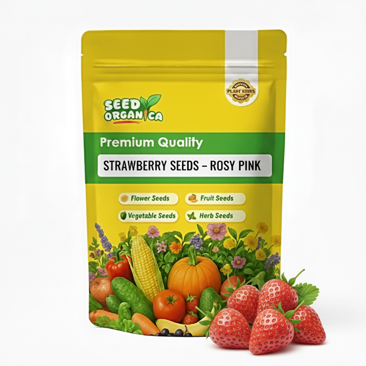 Strawberry Seeds – Rosy Pink