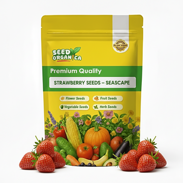 Strawberry Seeds – Seascape