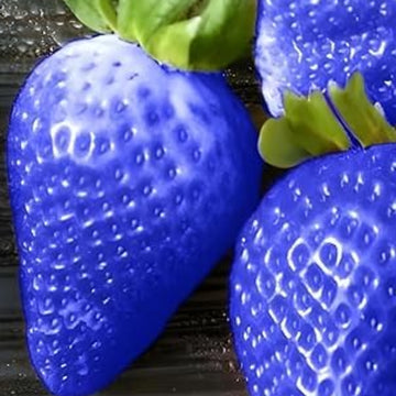 Strawberry Seeds – Sky Blue
