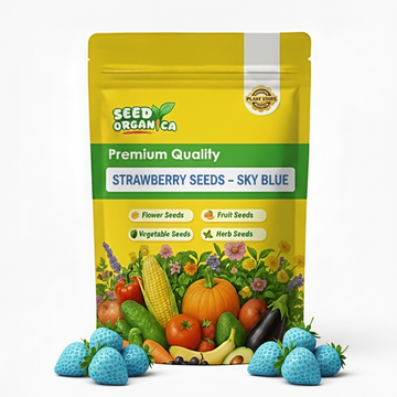 Strawberry Seeds – Sky Blue