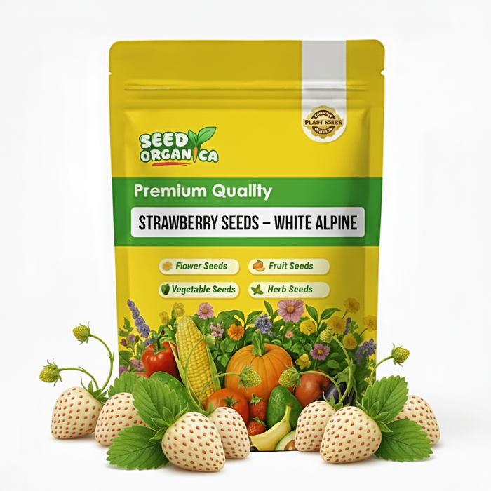 Strawberry Seeds – White Alpine