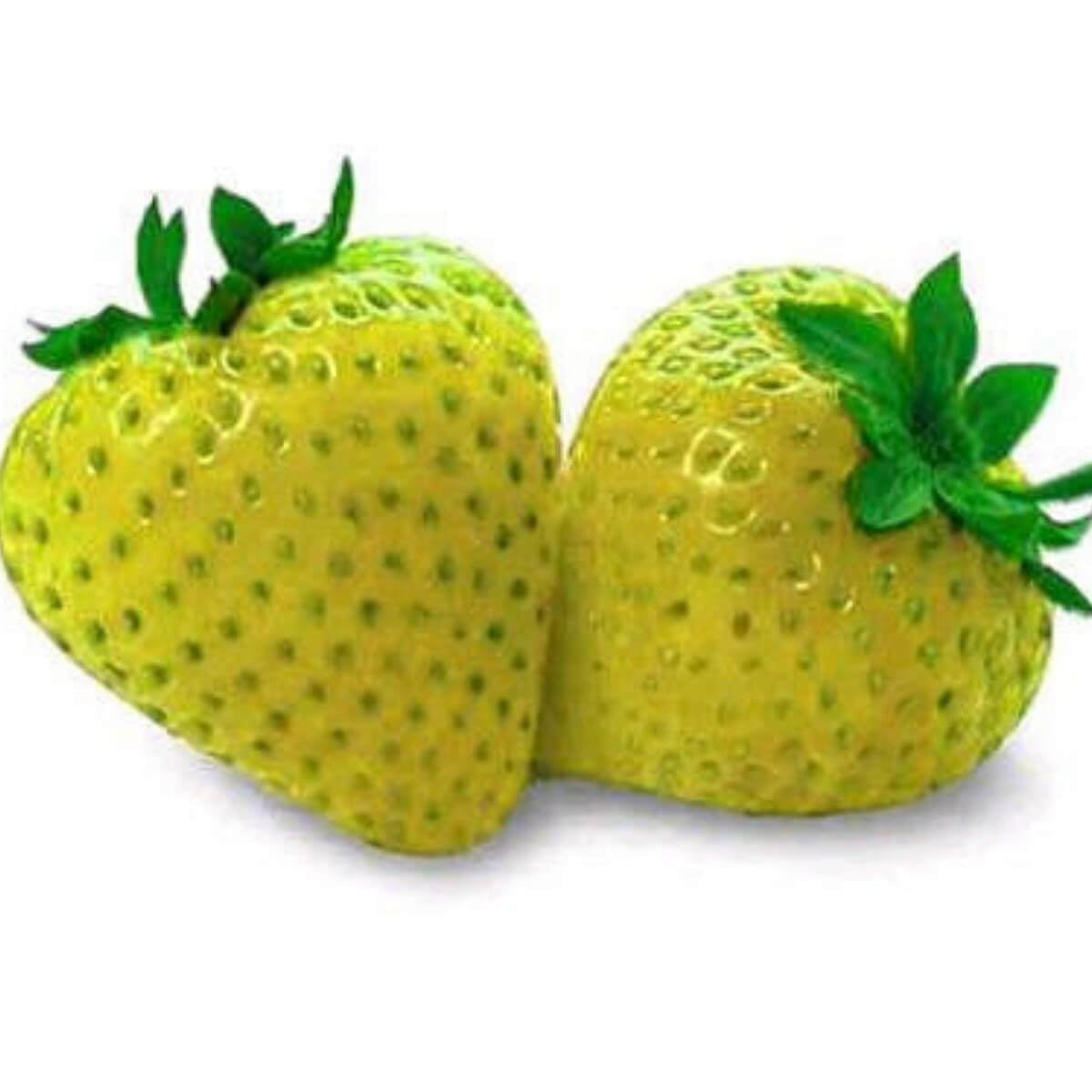 Strawberry Seeds – Yellow