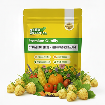 Strawberry Seeds – Yellow Wonder Alpine