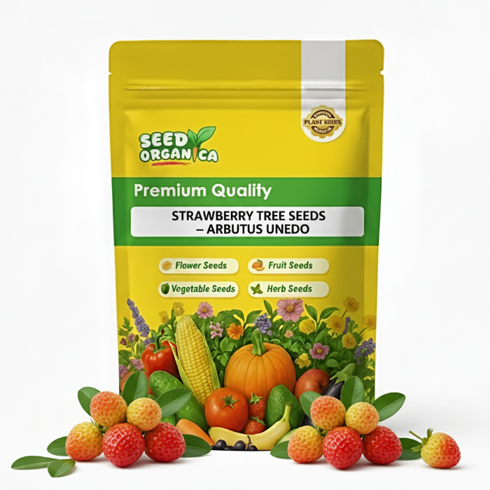 Strawberry Tree Seeds – Arbutus unedo