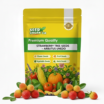 Strawberry Tree Seeds – Arbutus unedo