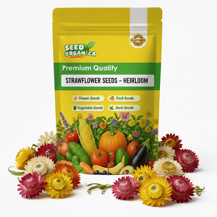 Strawflower Seeds – Heirloom