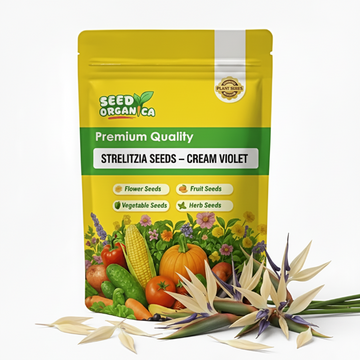 Strelitzia Seeds – Cream Violet