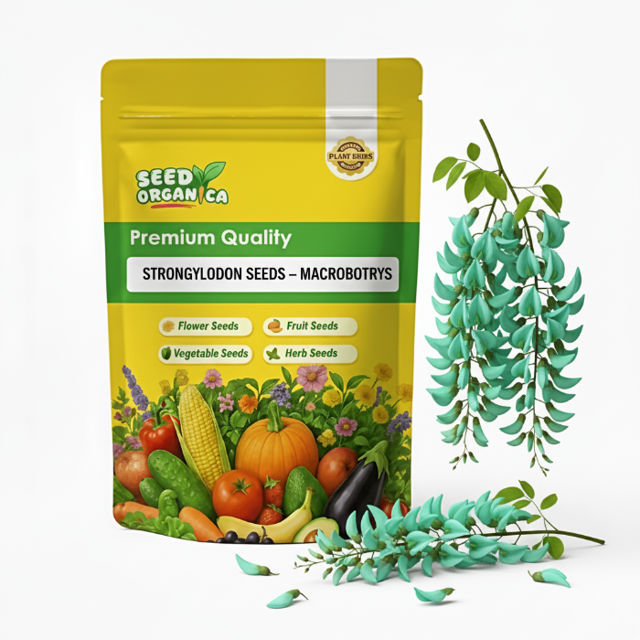 Strongylodon Seeds – Macrobotrys