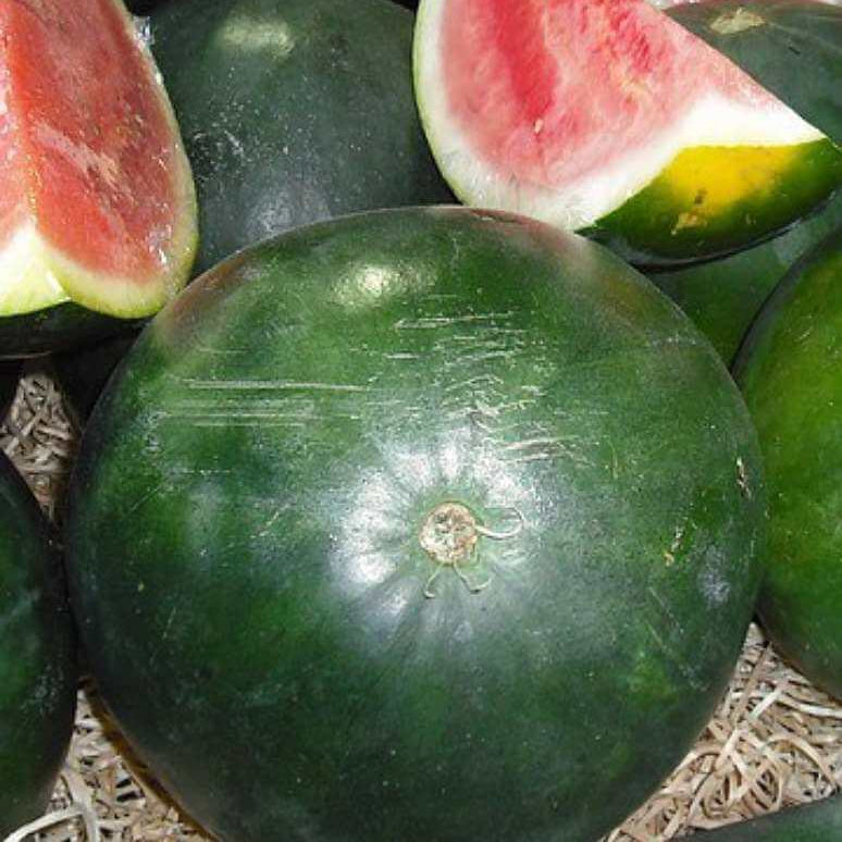Sugar Baby Watermelon Seeds - Fruit Plant