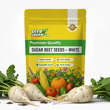 Sugar Beet Seeds – White