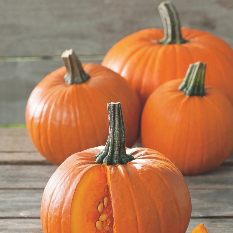 Sugar Pumpkin Seeds