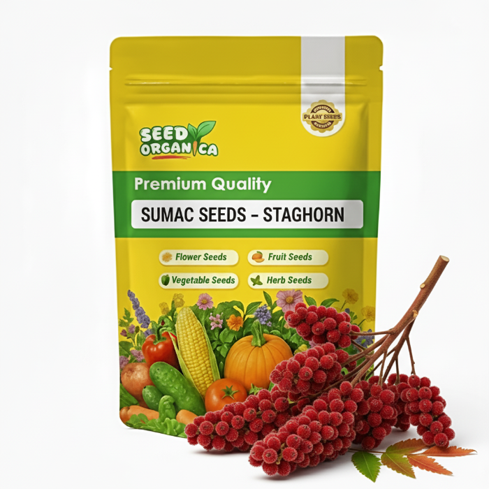 Sumac Seeds – Staghorn