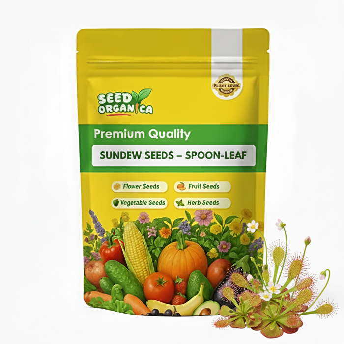 Sundew Seeds – Spoon-Leaf