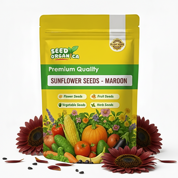 Sunflower Seeds - Maroon