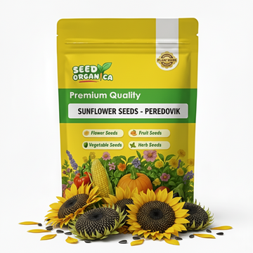 Sunflower Seeds - Peredovik