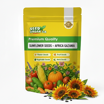 Sunflower Seeds – Africa Gazania
