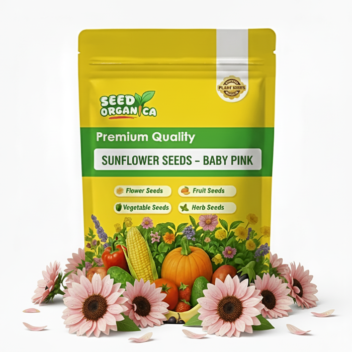 Sunflower Seeds – Baby Pink