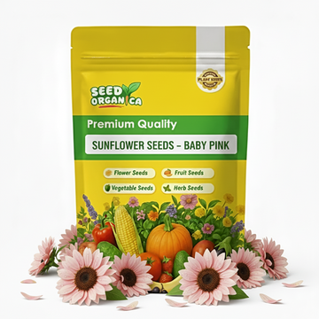 Sunflower Seeds – Baby Pink