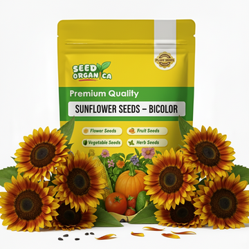 Sunflower Seeds – Bicolor