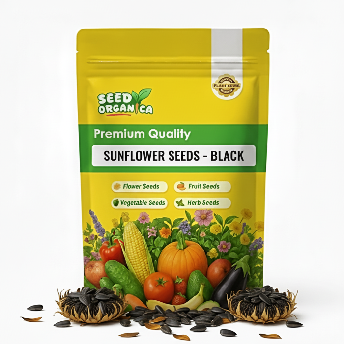 Sunflower Seeds – Black